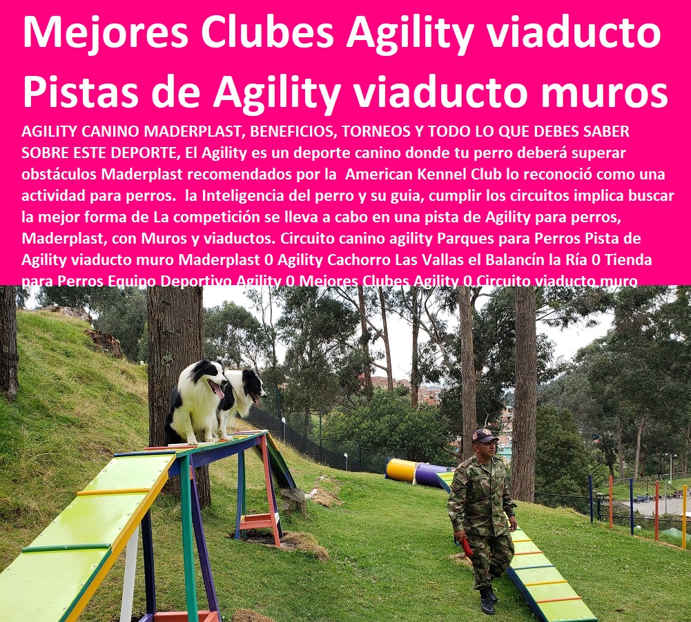 Circuito canino agility Parques para Perros Agility De Perros, Pistas De Adiestramiento, Caninos Para Perros, Equipo De Agility Para Perros, Cunas Y Parideras Para Perros, Parques Para Perros, Corrales Para Perros, Jaulas cuidado de perros, Casas Para Perros Y Mascotas, Pista de Agility viaducto muro Maderplast 0 Agility Cachorro Las Vallas el Balancín la Ría 0 Tienda para Perros Equipo Deportivo Agility 0 Mejores Clubes Agility 0 Circuito viaducto muro Circuito canino agility Parques para Perros Pista de Agility viaducto muro Maderplast 0 Agility Cachorro Las Vallas el Balancín la Ría 0 Tienda para Perros Equipo Deportivo Agility 0 Mejores Clubes Agility 0 Circuito viaducto muro